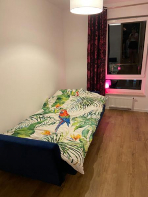 Rezydencja Klonova apartament